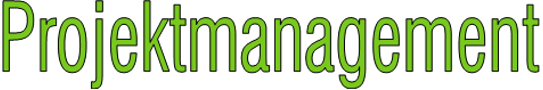 Projektmanagement
